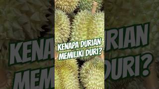 Kenapa Durian Memiliki Duri?