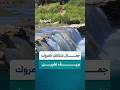 شلالات كمروك في ريف عفرين مقصد للعائلات والزوار من مختلف المحافظات
