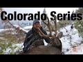 Colorado Series Part III: The Finale to my High Country Mule Deer Hunt