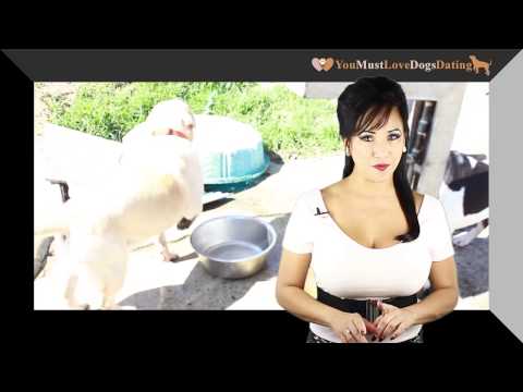 You Must Love Dogs Dating - Dating Tips - Monitoring Your Oniline Dating Activity from YouTube · Duration: 1 minutes 31 seconds You Must Love Dogs Dating - Dating Tips - Monitoring Your Oniline Dating Activity from YouTube · Duration: 1 minutes 31 seconds