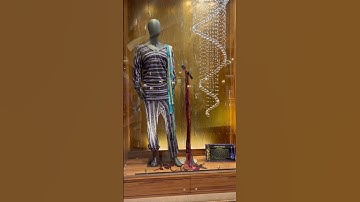 Thumbnail of Steve Tyler