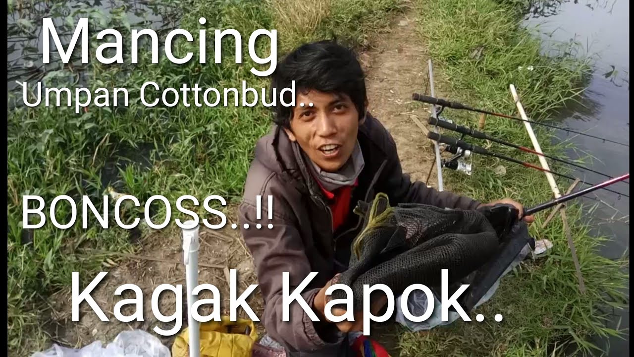 Hebohh Cotton Bud Buat Mancing Ikan Nila Babon By Aryo Vj Channel