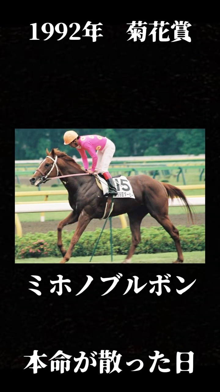 M*。様 1992年　第53回菊花賞馬券アルバム ミホノブルボン、ライスシャワー 三冠の夢、最後で消える【1992年 菊花賞】#競馬 #菊花賞