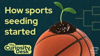 Why are NCAA March Madness rankings called "seeds"? | The Curiosity Desk