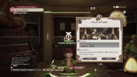 FINAL FANTASY XIV: A Realm Reborn - Pugilist