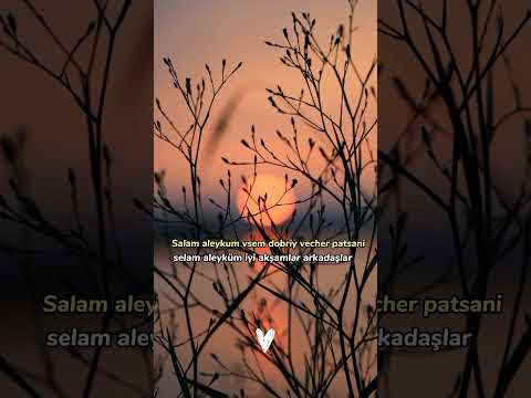 Salam alaykum-Azzamchik  lyrics | Türkçe çeviri| #azzamchik #salamalaykum #lyrics