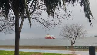 Yıldız Kenter Zannetme Şiiri Ve Ayla Dikmenin Anlamazdın Şarkısının Birleşimi