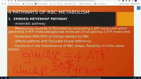 LESSON 3 RBC METABOLIC PATHWAY