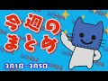 デジタル通貨の先駆け『デジタル人民元』って何？？モス参入でまだまだ続く『高級食パン戦争』議員バッジは純金製か金メッキか論争。今週のまとめだにゃん！【マスクにゃんニュース】