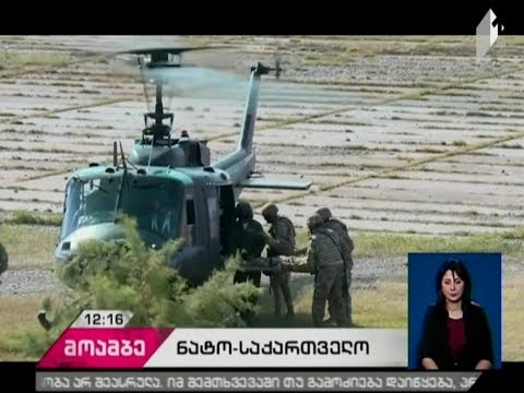 ნატო-ს სწრაფი რეაგირების ძალებს კიდევ ერთი ქართული ასეული შეუერთდება