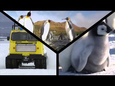 Video: Australië Bestaat Niet, Dit Is Antarctica, Ooggetuigenverslagen - Alternatieve Mening