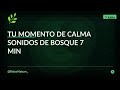 Tu momento de calma — Sonidos de bosque — Experience Nature • 7 min