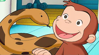 ¡¿Jorge cuida a una serpiente?! | Jorge El Curioso En Español