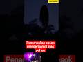 bikin merinding#camping #viral #ghost#trending#sceror#jurnalrisa#shortvideo