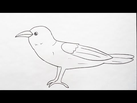 How To Draw