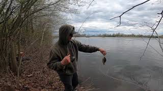 2024 Spring Fishing Trip Turns into a Fresh Water Multispecies Video!