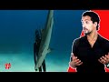 السيطرة على سمكة القرش بالتنويم المغناطيسي 