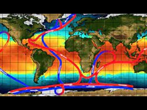 Video: ¿Qué es la circulación termohalina del Océano Mundial?