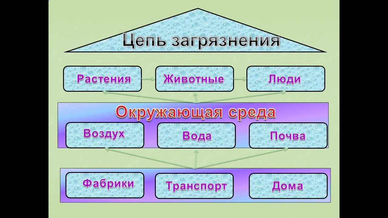 Экология простыми словами для детей. Что такое экология 3 класс. Что такое экос окружающий мир 3 класс. Экология экос логос. Экология наука о доме.