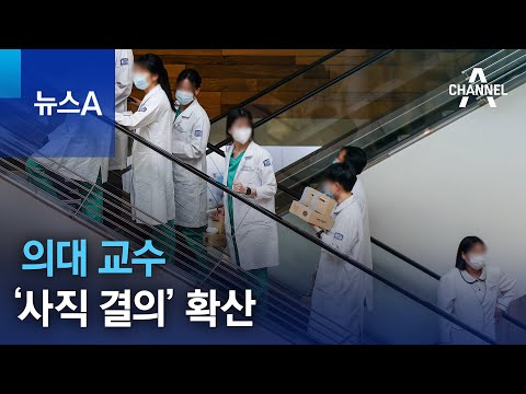 의대 교수 ‘사직 결의’ 확산 | 뉴스A