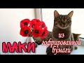 МАКИ из гофрированной бумаги | 8 марта