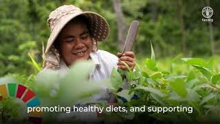 Fao Cambodia Country Programming Framework 2024-2028