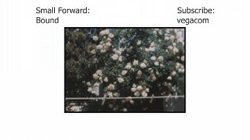 Small Forward- Bound