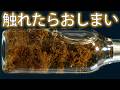 ヘプチル。ソ連の最も危険な物質