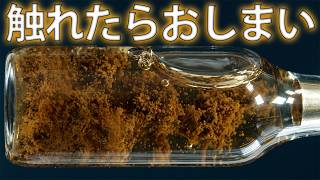 ヘプチル。ソ連の最も危険な物質