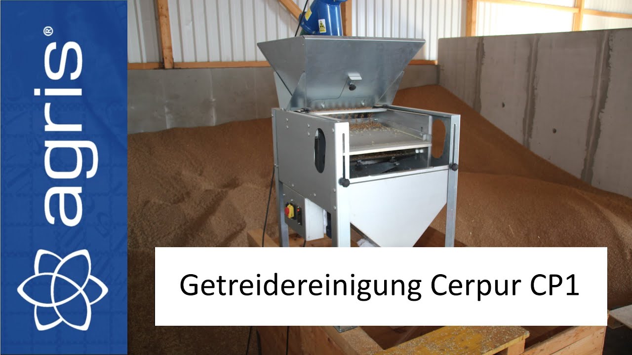 salbei saatgut Salbei Saatgut – Küchenkräuter