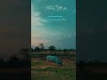 Dharm se kishan Karm se kishan 🌱🌾🌾 #sortvideo #created #love #videos