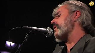 Video thumbnail of "Triggerfinger - First Taste (Live on 2 Meter Sessions)"