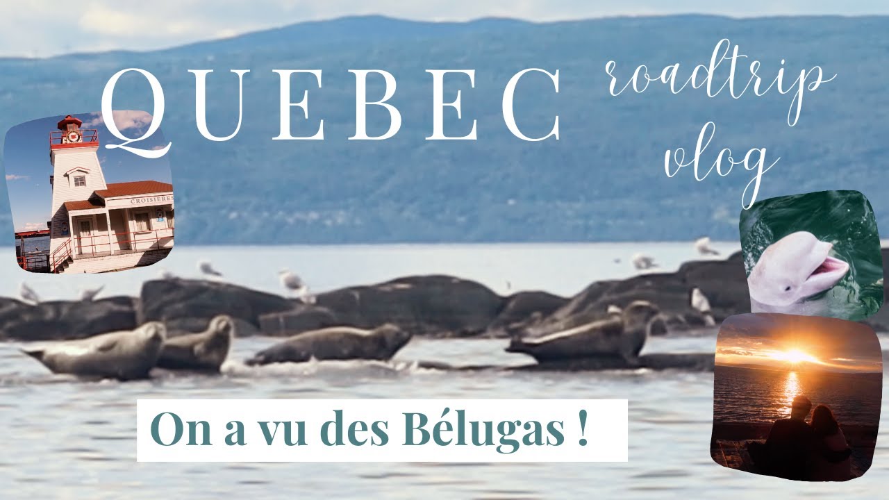 Voyage Québec Bas saint Laurent  🇨🇦 voir des phoques et bélugas 🇨🇦 VLOG expatriation