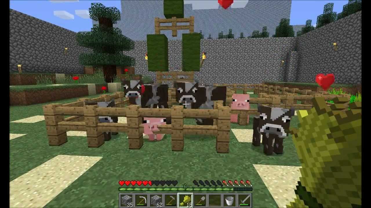 Minecraft Fallen Minecraft Fallen