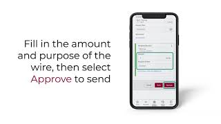 How to send a domestic wire