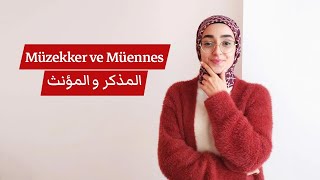 MÜENNES VE MÜZEKKER - المذكر و المؤنث / (Gramer notları 2)