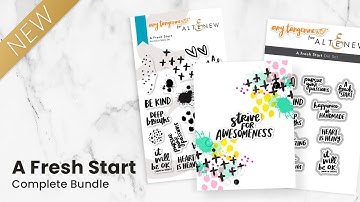 Amy Tangerine blew us out of the park with A Fresh Start Stamp Designs!