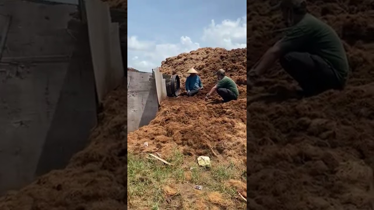 Coco Peat - Manufacturer Exporter From Indonesia