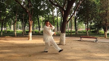 Xingyi Bagua form Dragon Style Bagua