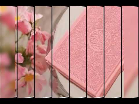 نور في الظلمات أنسي في خلواتي أنشودة