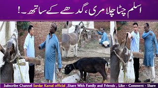 Aslam Chitta And Rafique Bablu New Comedy Show || Sardar Kamal Official