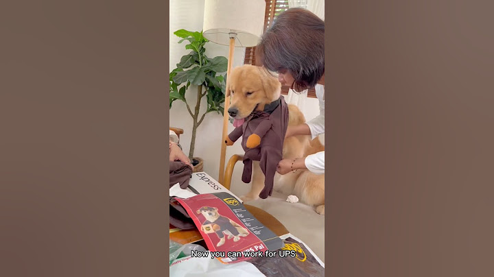 เมื่อจุ๊มได้งาน l Japan and Friends