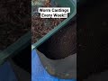 Learn How To Get The Most From Your Worm Bins With My Videos!!🪱 #vermicompost #wormfarm #wormbin