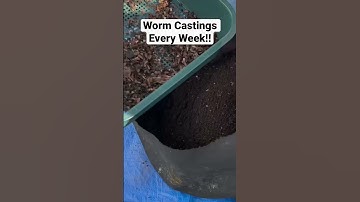 Learn How To Get The Most From Your Worm Bins With My Videos!!🪱 #vermicompost #wormfarm #wormbin