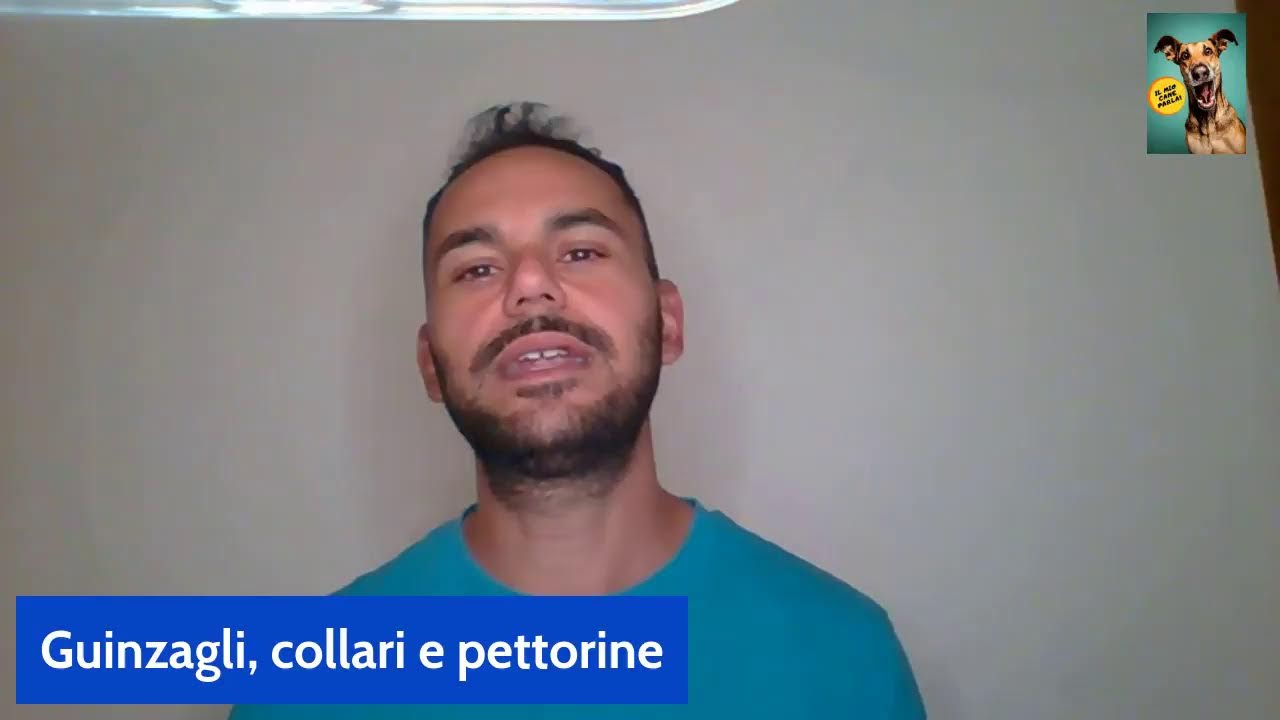 Cani - guinzaglio, collare e pettorine