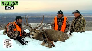 Hunting Giant Mulies in Utah Mountains by Chris Dorsey's Outdoor World 8,495 views 1 month ago 13 minutes, 22 seconds