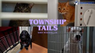 Township Tails - Ingham County Animal Control and Shelter