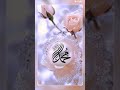 Allah ke mehboob hai pyare hai muhammad ﷺ 😍 #allahpak #nabipakﷺ #islam #naat #shorts #shortvideos