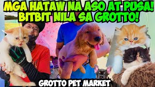 NAGLABASAN NA SA GROTTO PET MARKET ANG MGA MAGAGANDANG ASO AT PUSA! PAGANDAHAN ANG LABAN! by Tita A's Vlog 5,501 views 3 weeks ago 32 minutes