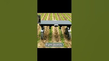 Goodbye herbicide, hello robots. Weeding gets technical. #sustainablesolutions #roboticweeding